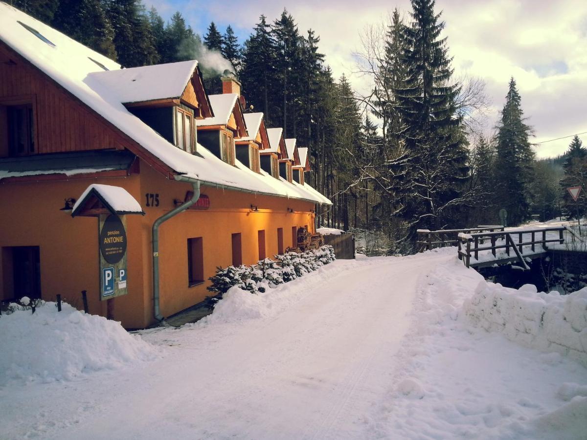 Hotel Penzion ANTONIE Malá Morávka Esterno foto